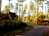 Tn IMG 1652